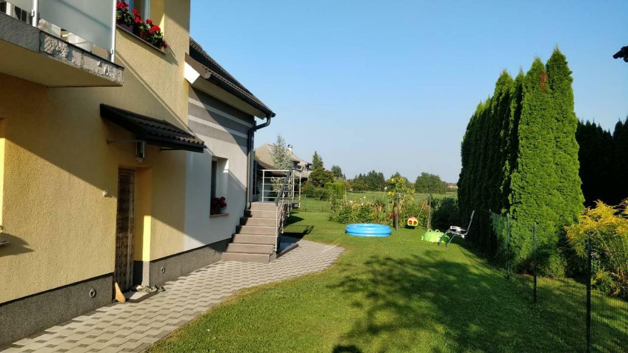 Ana'S Place Celje Dış mekan fotoğraf